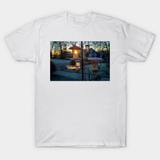 the birds are not yet up, when the beautiful sunrise that shines on the birds dining table T-Shirt